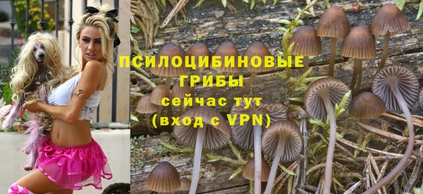 каннабис Болотное