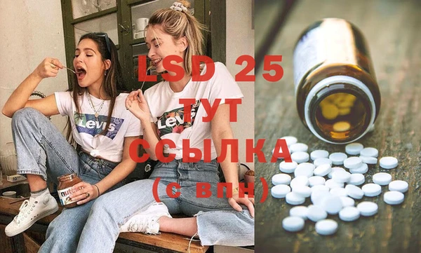 ГАЛЛЮЦИНОГЕННЫЕ ГРИБЫ Новодвинск