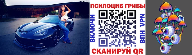 мега   как найти наркотики  Усть-Лабинск  Псилоцибиновые грибы Psilocybine cubensis 