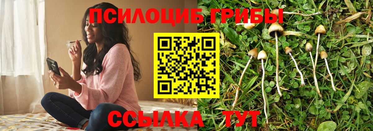 Галлюциногенные грибы прущие грибы  Вход с VPN  где можно купить   Усть-Лабинск 
