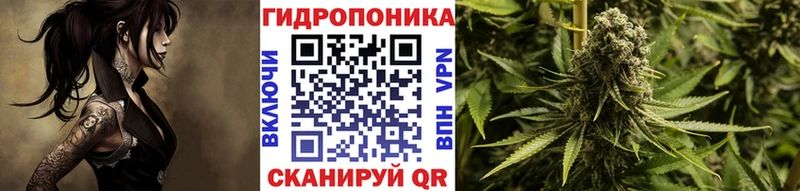 Бошки марихуана сатива  KRAKEN онион  Усть-Лабинск  где продают  